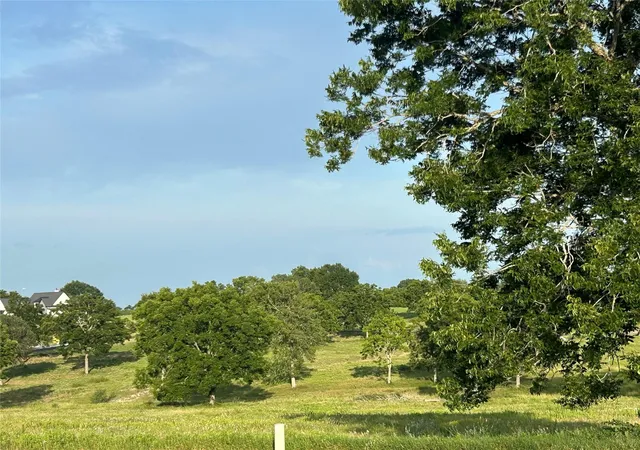 3rd image of 10549 Sunny Meadow Dr, Chappell Hill, TX 77426 | MLS# 43100464
