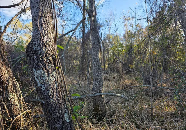 Photo 2 of Land for sale at 414 Highway 105 W, Liberty, TX 77575 | MLS# 64157166 | Listing updated on 2026-09-27