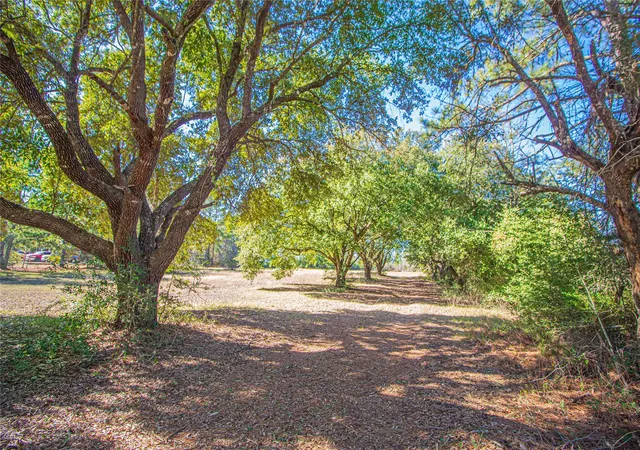 Photo 1 of Land for sale at 2764 Richardson Rd E, Livingston, TX 77351 | MLS# 55715686 | Listing updated on 2026-08-30