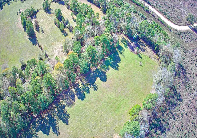 Photo 4 of Land for sale at 2764 Richardson Rd E, Livingston, TX 77351 | MLS# 55715686 | Listing updated on 2026-08-30