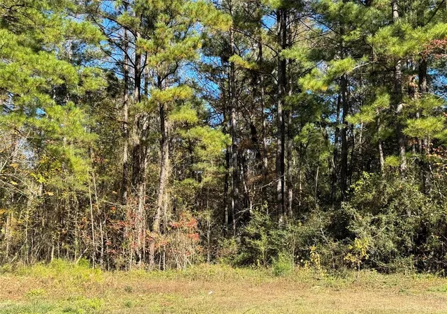 Photo 3 of Land for sale at 4B-6-222 Red Hawk Rd, Huntsville, TX 77340 | MLS# 70302349 | Listing updated on 2026-09-12