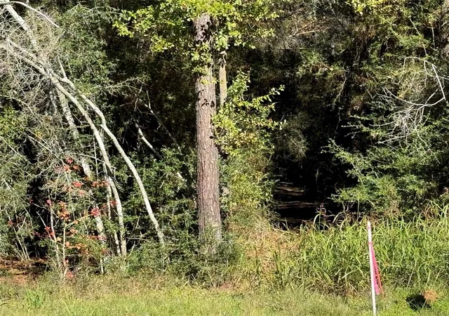 Photo 4 of Land for sale at 4B-6-222 Red Hawk Rd, Huntsville, TX 77340 | MLS# 70302349 | Listing updated on 2026-09-12