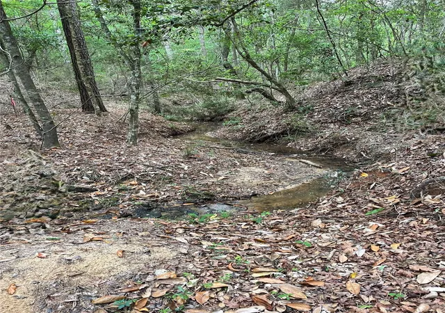 Photo 3 of Land for sale at 1298 Tony Peebles Rd, Livingston, TX 77351 | MLS# 57605339 | Listing updated on 2026-08-24