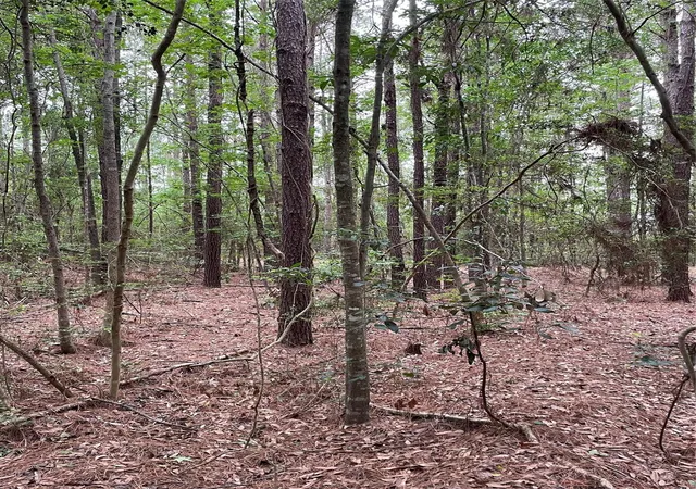 Photo 3 of Land for sale at 1298 Tony Peebles Rd, Livingston, TX 77351 | MLS# 57605339 | Listing updated on 2026-08-24