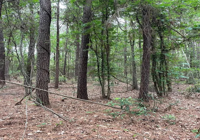 Photo 4 of Land for sale at 1298 Tony Peebles Rd, Livingston, TX 77351 | MLS# 57605339 | Listing updated on 2026-08-24