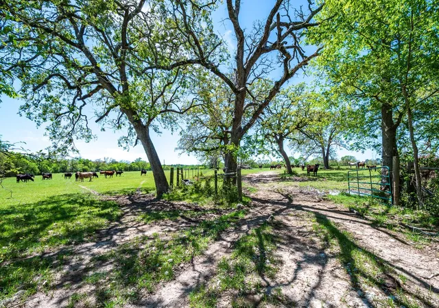 Photo 18 of Land for sale at 501 Fm 2550, Huntsville, TX 77340 | MLS# 79357798 | Listing updated on 2026-04-30