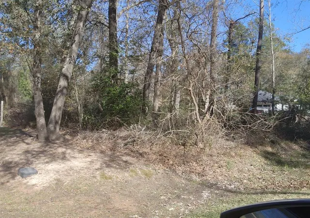 4th image of 307 Magnolia Bend Dr, New Caney, TX 77357 | MLS# 55143822