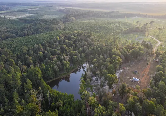 5th image of Tbd Butler Rd, Livingston, TX 77351 | MLS# 46326230