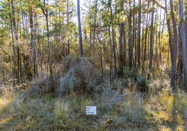 4th image of 039 Sportsman Retreat Rd, Onalaska, TX 77360 | MLS# 2677506