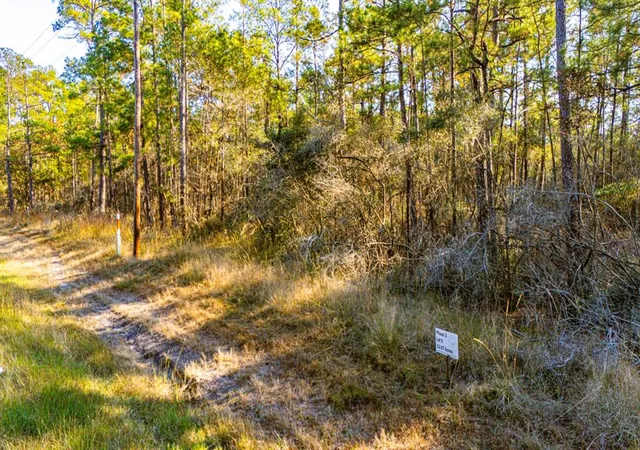 5th image of 039 Sportsman Retreat Rd, Onalaska, TX 77360 | MLS# 2677506