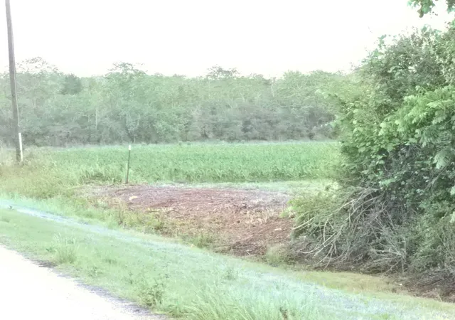Photo 3 of Land for sale at 6932 Beard Rd, Needville, TX 77461 | MLS# 15441068 | Listing updated on 2026-08-03