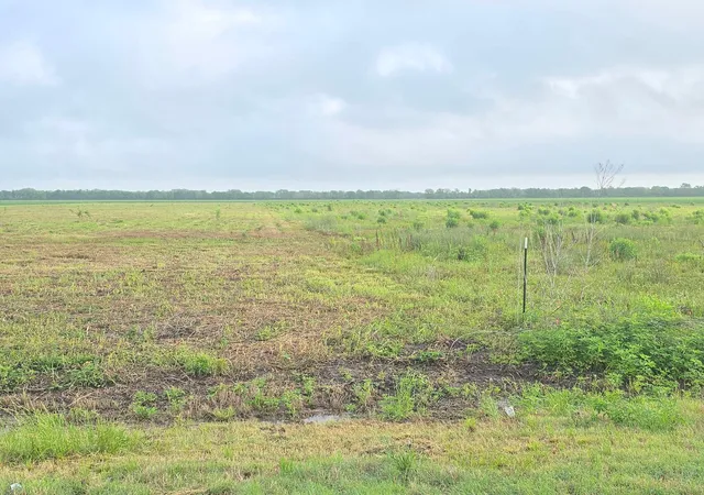 Photo 3 of Land for sale at 6932 Beard Rd, Needville, TX 77461 | MLS# 15441068 | Listing updated on 2026-08-03