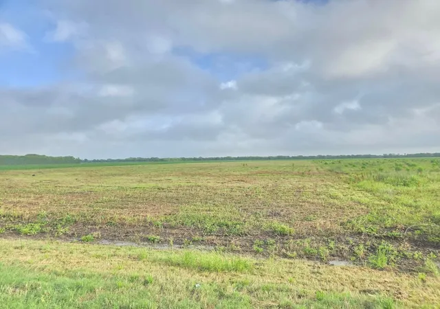 Photo 4 of Land for sale at 6932 Beard Rd, Needville, TX 77461 | MLS# 15441068 | Listing updated on 2026-08-03