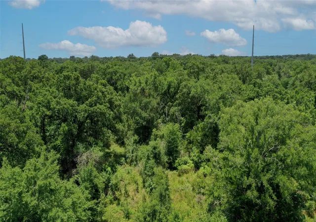 27th image of Tbd Fm 2154, Navasota, TX 77868 | MLS# 74129960