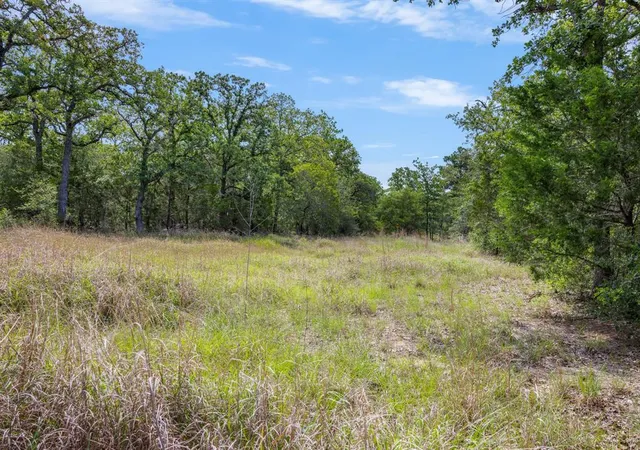 Photo 1 of Land for sale at Tbd Anders Daniels Rd, La Grange, TX 78945 | MLS# 40972472 | Listing updated on 2026-05-18