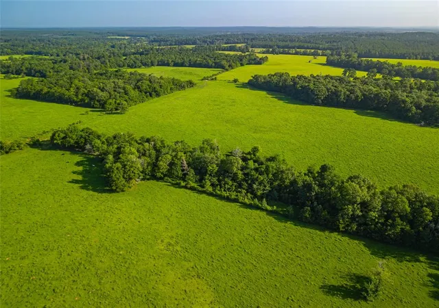 Photo 2 of Land for sale at 0 Farm To Market 256, Woodville, TX 75979 | MLS# 12892566 | Listing updated on 2026-03-02