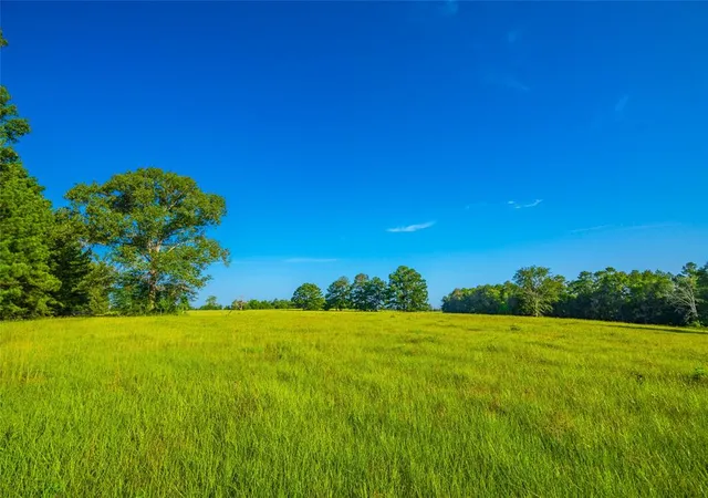 Photo 4 of Land for sale at 0 Farm To Market 256, Woodville, TX 75979 | MLS# 12892566 | Listing updated on 2026-03-02