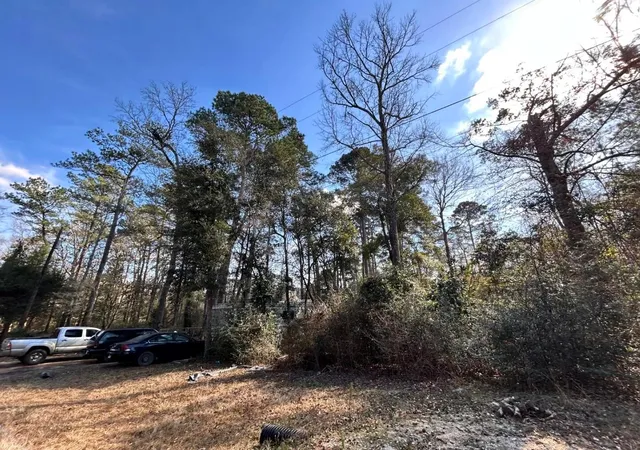 3rd image of Lot 12 17Th St, Woodville, TX 75979 | MLS# 69782142