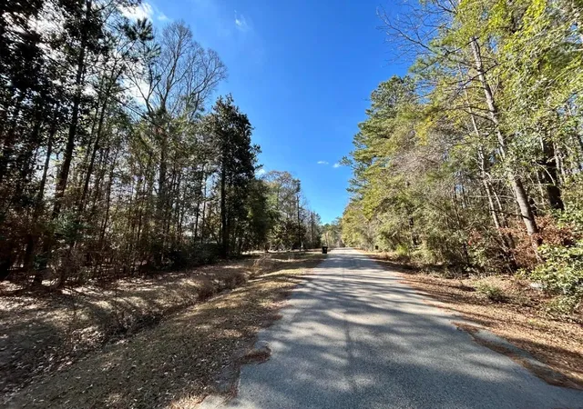 4th image of Lot 12 17Th St, Woodville, TX 75979 | MLS# 69782142