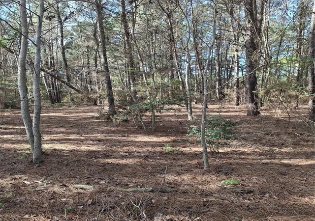 Photo 4 of Land for sale at 25450 Decker Prairie Rosehill Rd, Magnolia, TX 77355 | MLS# 14013154 | Listing updated on 2026-09-15