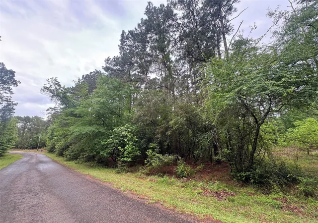 Land for sale at 0 Whisperwood Dr, Onalaska, TX 77360 | MLS# 38289254
