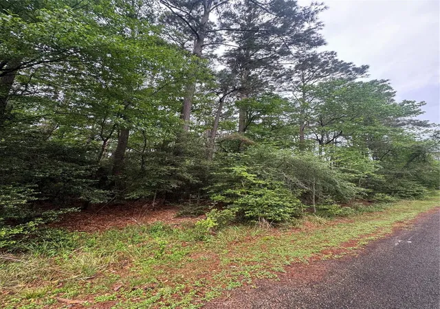 Photo 3 of Land for sale at 0 Whisperwood Dr, Onalaska, TX 77360 | MLS# 38289254 | Listing updated on 2026-04-13