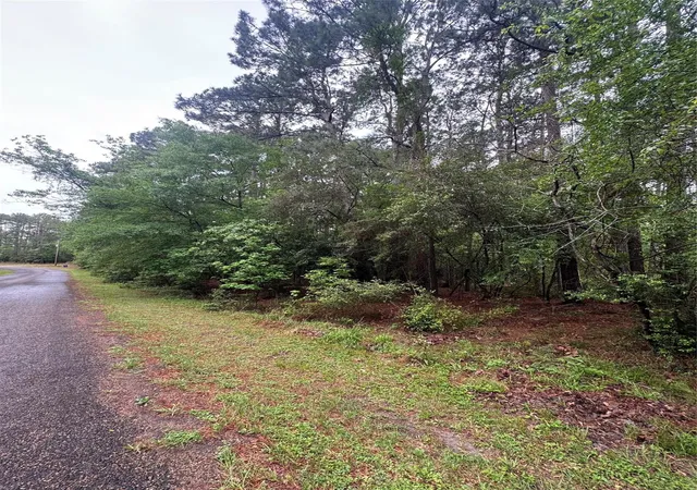 Photo 4 of Land for sale at 0 Whisperwood Dr, Onalaska, TX 77360 | MLS# 38289254 | Listing updated on 2026-04-13