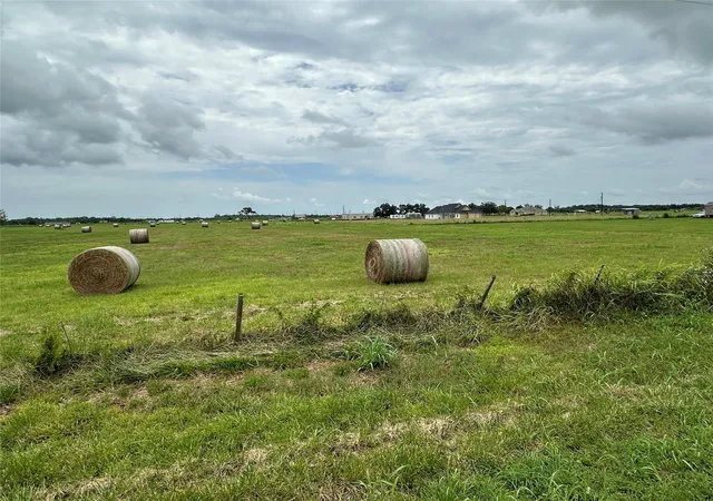 1st image of 0 Cr100, Boling, TX 77420 | MLS# 39194706