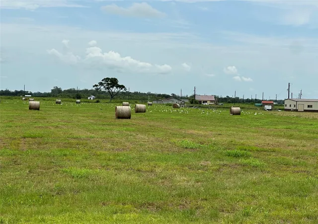 2nd image of 0 Cr100, Boling, TX 77420 | MLS# 39194706
