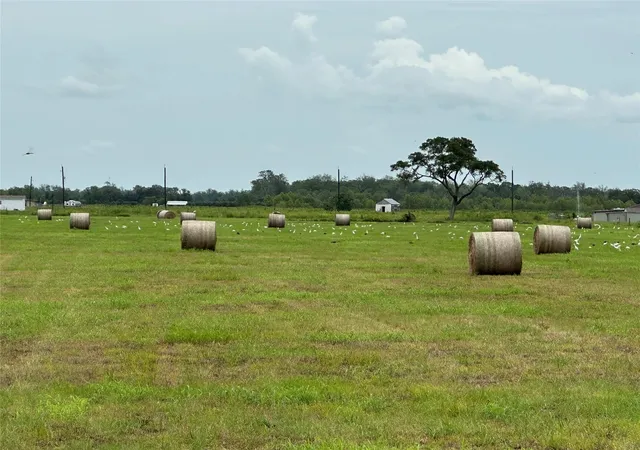 3rd image of 0 Cr100, Boling, TX 77420 | MLS# 39194706