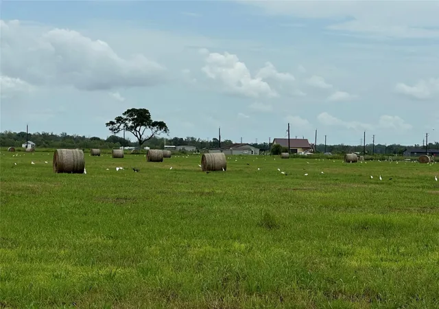 4th image of 0 Cr100, Boling, TX 77420 | MLS# 39194706