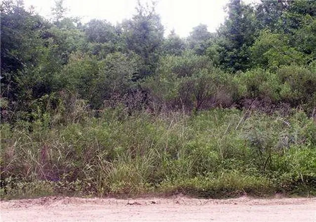 Photo 1 of Land for sale at 0 County Rd 2926, Cleveland, TX 77327 | MLS# 15067351 | Listing updated on 2026-05-07