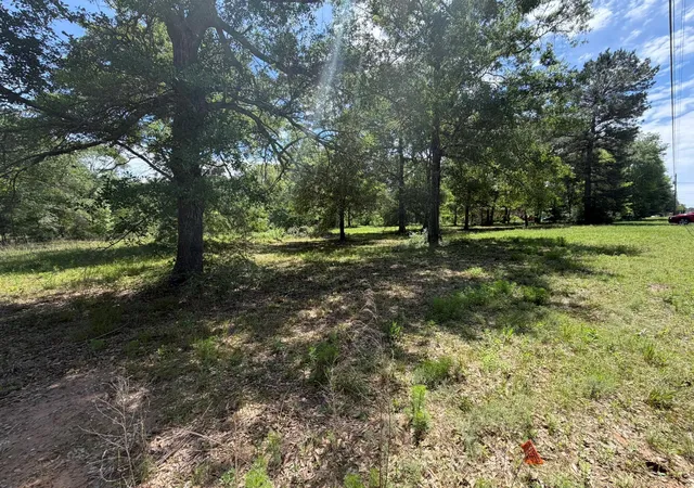Homes for sale in Conroe, TX | 3871 Highline Oaks E, Conroe, TX 77306 | MLS# 49838155