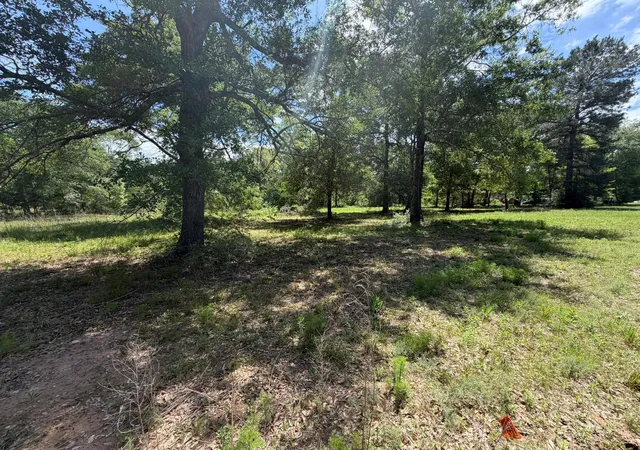 Homes for sale in Conroe, TX | 3871 Highline Oaks E, Conroe, TX 77306 | MLS# 49838155