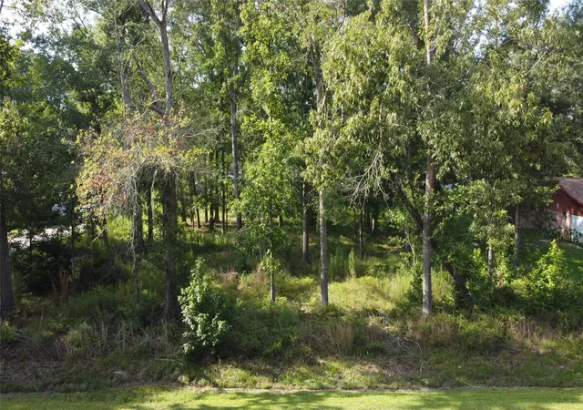 3rd image of 9 Sweetgum Dr, New Caney, TX 77357 | MLS# 38353426