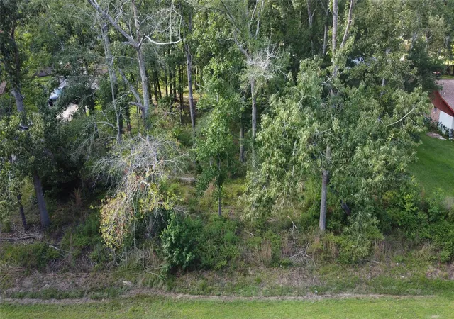 4th image of 9 Sweetgum Dr, New Caney, TX 77357 | MLS# 38353426