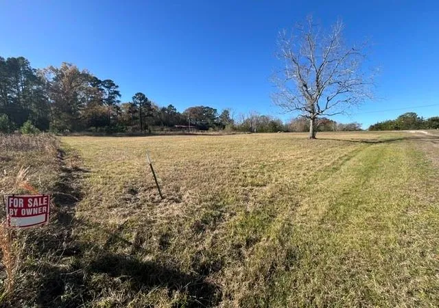 4th image of Tbd Grassy Ln, Coldspring, TX 77331 | MLS# 35601251
