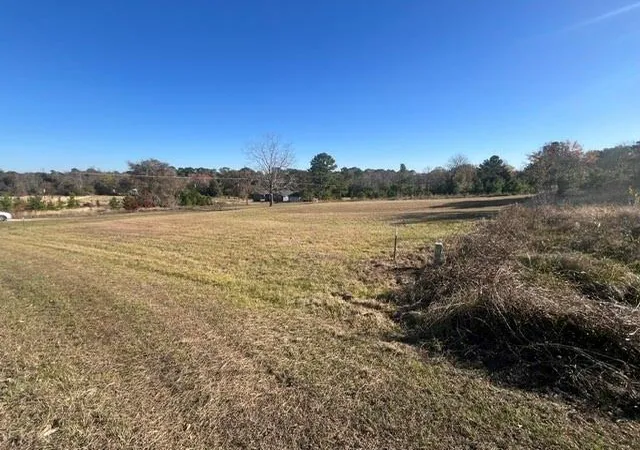 5th image of Tbd Grassy Ln, Coldspring, TX 77331 | MLS# 35601251