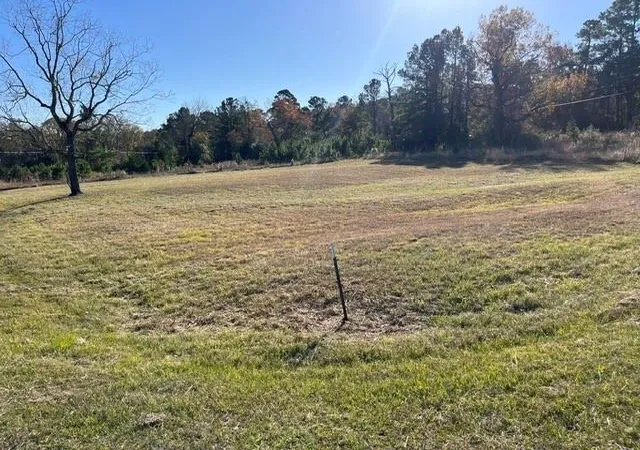 6th image of Tbd Grassy Ln, Coldspring, TX 77331 | MLS# 35601251