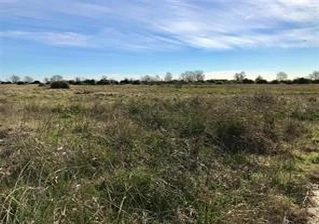 Homes for sale in Eagle Lake, TX | Lot 4 1293 Mc Donald Rd, Eagle Lake, TX 77434 | MLS# 82609602