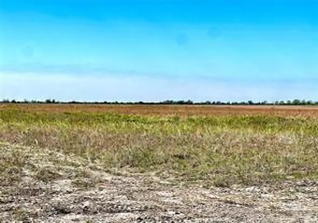 4th image of Lot 4 1293 Mc Donald Rd, Eagle Lake, TX 77434 | MLS# 82609602