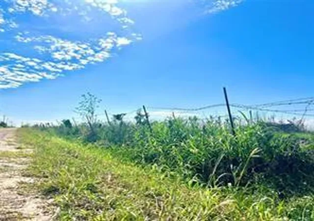 5th image of Lot 4 1293 Mc Donald Rd, Eagle Lake, TX 77434 | MLS# 82609602