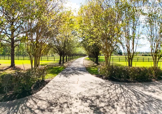 3rd image of 4340 Hwy 1131, Vidor, TX 77662 | MLS# 3134815
