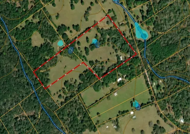 Homes for sale in Oakwood, TX | 289 County Road 216, Oakwood, TX 75855 | MLS# 23206193