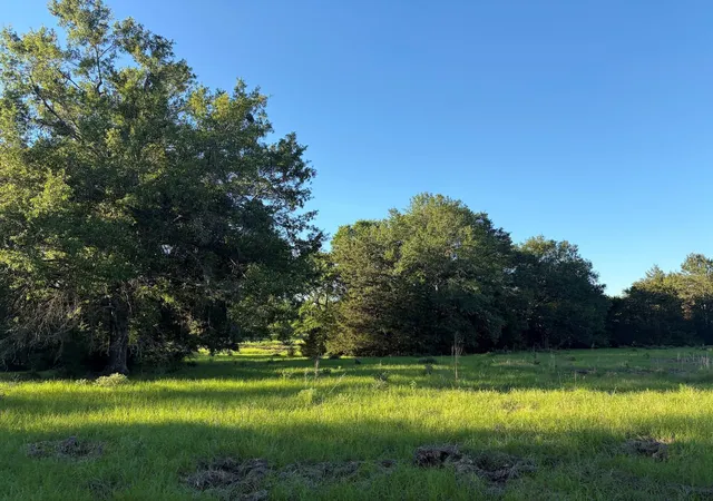 Homes for sale in Oakwood, TX | 289 County Road 216, Oakwood, TX 75855 | MLS# 23206193