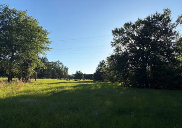 Homes for sale in Oakwood, TX | 289 County Road 216, Oakwood, TX 75855 | MLS# 23206193