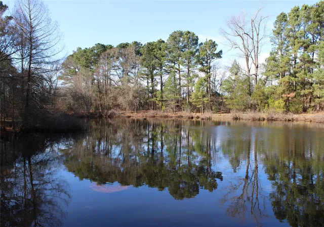 5th image of 2801 State Hwy 11 W, Pittsburg, TX 75686 | MLS# 84179376