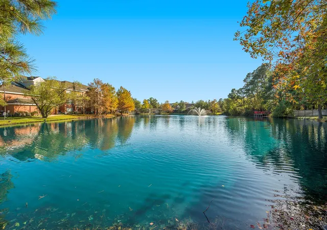 Homes for sale in The Woodlands, TX | 158 N Magnolia Pond Pl #158E, The Woodlands, TX 77381 | MLS# 79420770