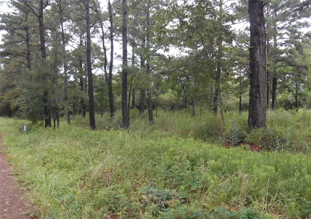1st image of 0 Will Rogers Taxiway, Tomball, TX 77377 | MLS# 10882506