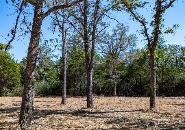 3rd image of 12345 County Road 414, Somerville, TX 77879 | MLS# 87015917